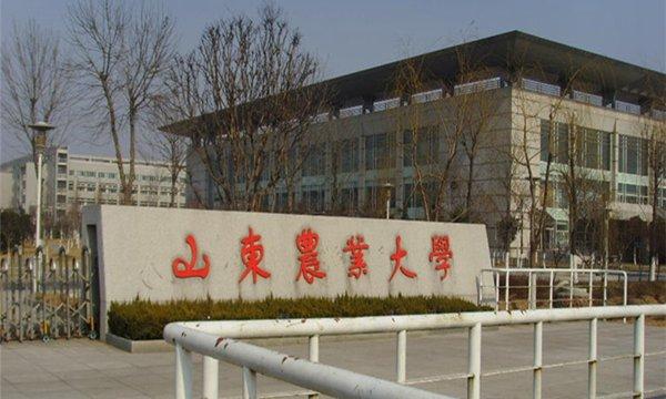 在职升学历 在职升学历